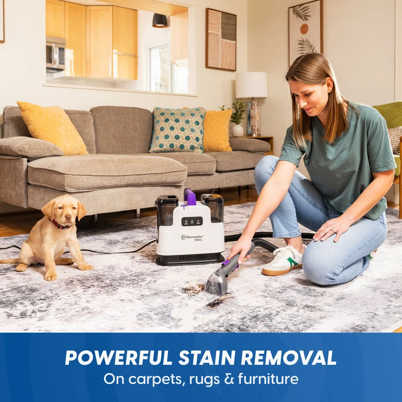 Vacmaster Spot Cleaner 500W
